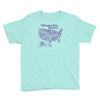 catmerica Youth Tee
