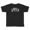 made in 1973 birthday celebration funny party Toddler T-shirt