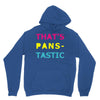 pansexual pride Unisex Hoodie