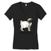 Dogtor Women's V-Neck T-Shirt