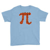 pumpkin pi Youth Tee
