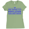 the entire cat population is my Ladies Fitted T-Shirt