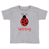 lady bug Toddler T-shirt