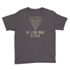 all i care about is pizza Youth Tee