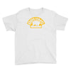 boston bruins logo Youth Tee