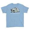 professional naplete Youth Tee
