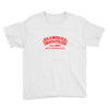 kramerica Youth Tee