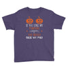 if you like my pumpkins! Youth Tee