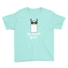No Drama Llama Youth Tee