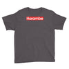 harambe gorilla Youth Tee