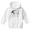 Big Dipper Youth Hoodie