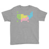periodic table of america Youth Tee
