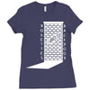 i warned you Ladies Fitted T-Shirt