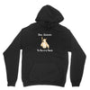 don quixote the man of la mancha 2 Hoodie