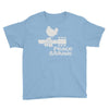 peace and music Youth Tee