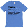 Feminism Noun T-Shirt