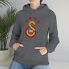 test Unisex Heavy Blend™ Hooded Sweatshirt