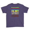 discord is my spirit animal Youth Tee