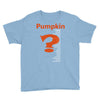 pumpkin everything Youth Tee
