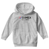 100x or gtfo bitmex edition Youth Hoodie