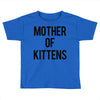 mother of kittens Toddler T-shirt