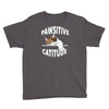 pawsitive catitude Youth Tee