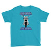 funny , fourtwo wheels, ideal gift, birthday present Youth Tee