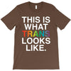 This Is What Trans Looks Like T-Shirt