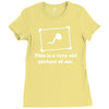 this is a very old picture of me Ladies Fitted T-Shirt