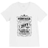 Vintage Aged To Perfection 1977 V-Neck Tee