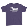 Vandelay industries import Export Original Size 89 Youth Tee