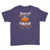 sweet as pumpkin pi Youth Tee