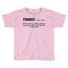 Feminist Noun Toddler T-shirt
