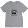 dumbass university t shirt school party funny tee V-Neck Tee