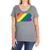 Pennsylvania LGBT Rights Ladies Curvy T-Shirt