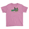 greetings from kakariko village Youth Tee