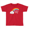 Rainbow Baby Toddler T-shirt
