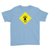 hobbit you shall not pass Youth Tee