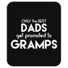 Only the best Dads Get Promoted to Gramps Mousepad
