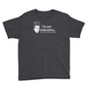 i'm not indecisive my mind Youth Tee