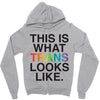 This Is What Trans Looks Like Zipper Hoodie