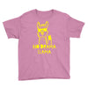 no drama llama (2) Youth Tee