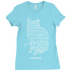 schr&ouml;dinger&rsquo;s equation Ladies Fitted T-Shirt
