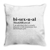 Bisexual Dictionary Throw Pillow
