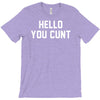 hello you c'nt T-Shirt