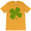 irish (2) T-Shirt