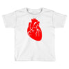 heart Toddler T-shirt