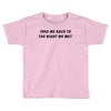 Take Me Back To The Night We Met Toddler T-shirt