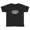 silently correcting your grammar Toddler T-shirt