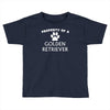 property of a golden retriever Toddler T-shirt